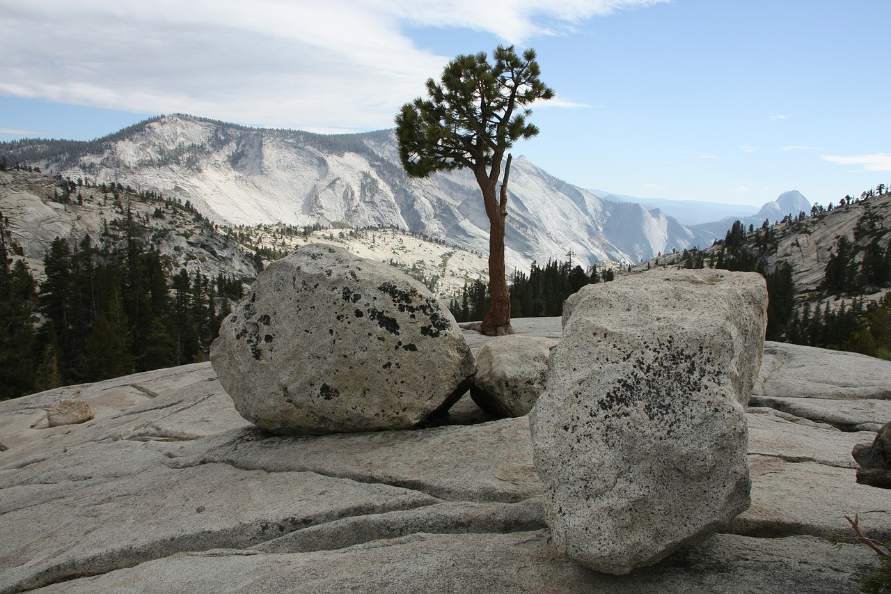 Exploring the Scenic Trails of Yosemite National Park